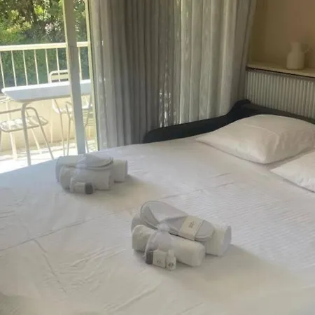 Ac With Balcony By Olidesi *